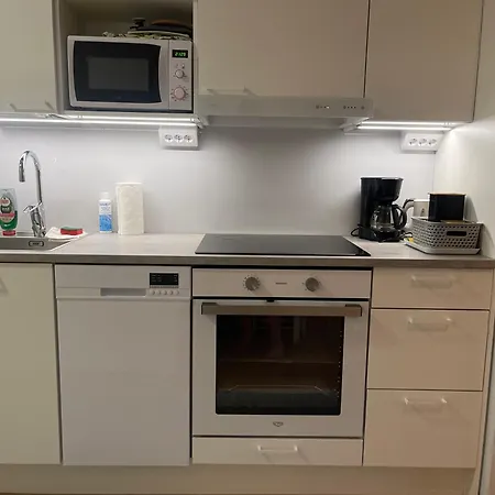 Haalia Homes Linkkitornin Valo Apartamento